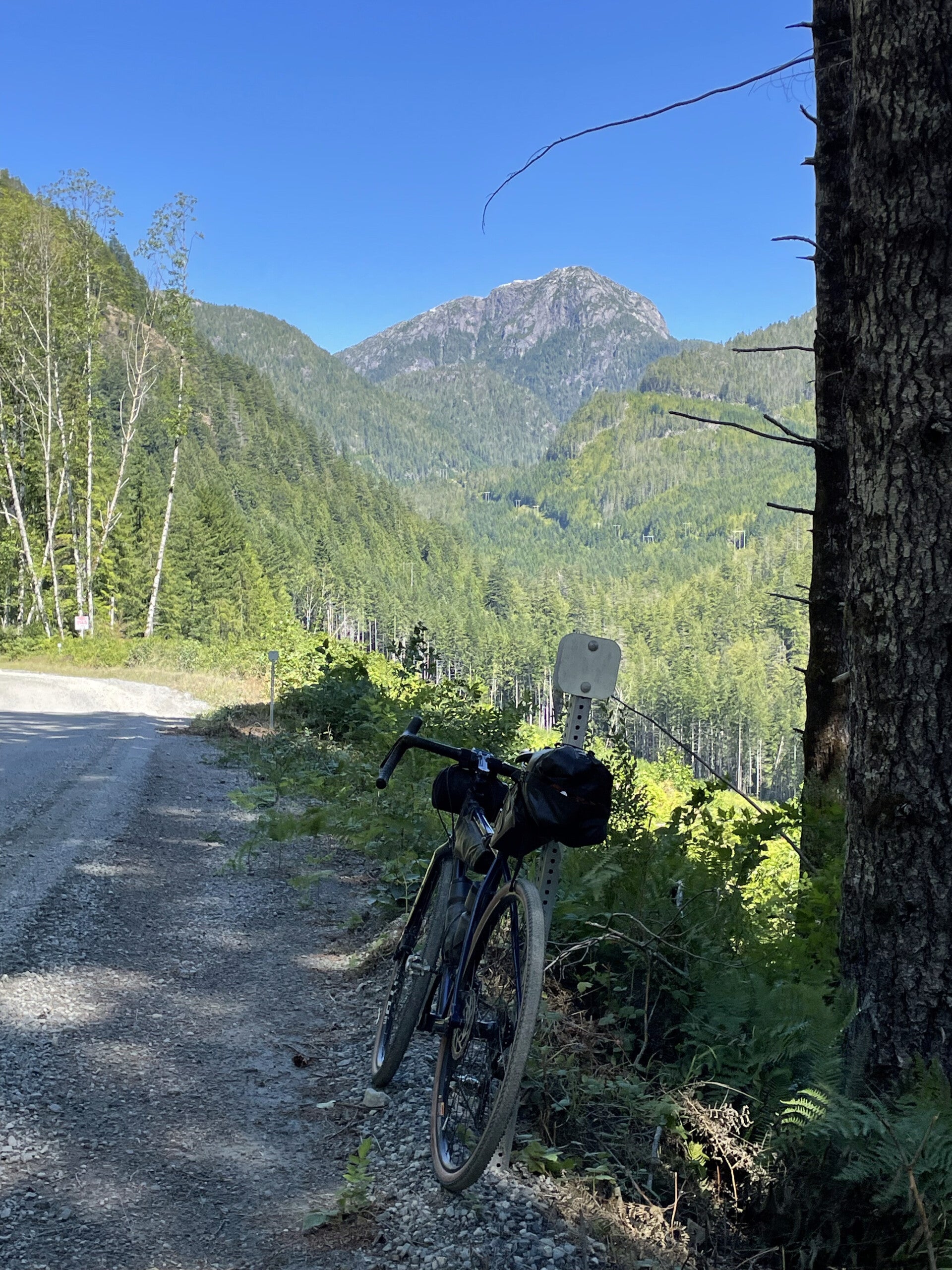 Gold Bridge Relay Creek