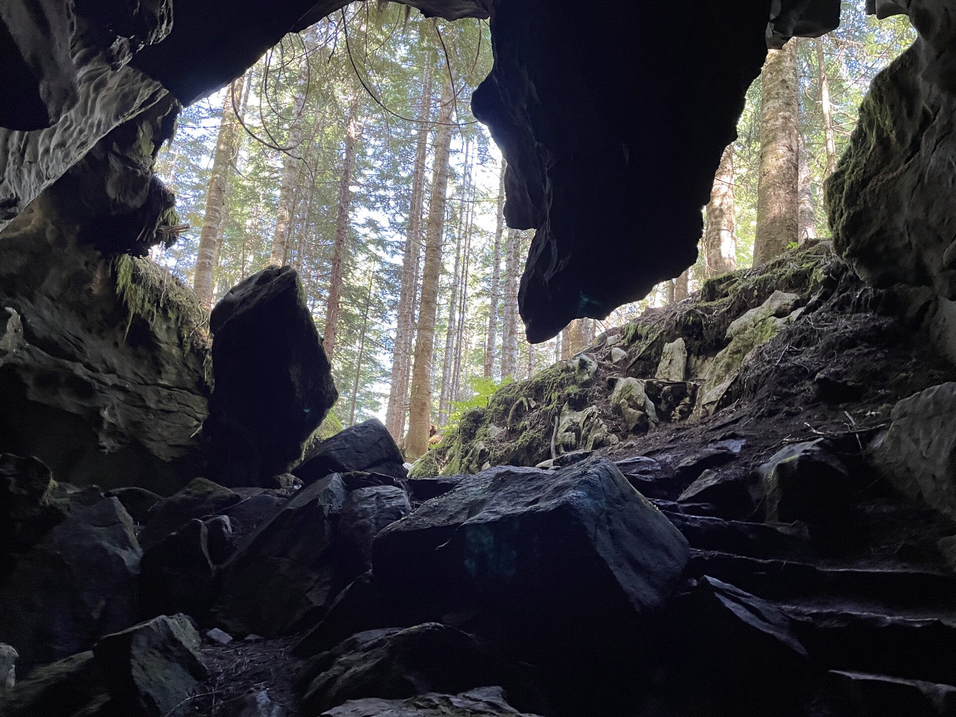 Gold Bridge Relay Creek