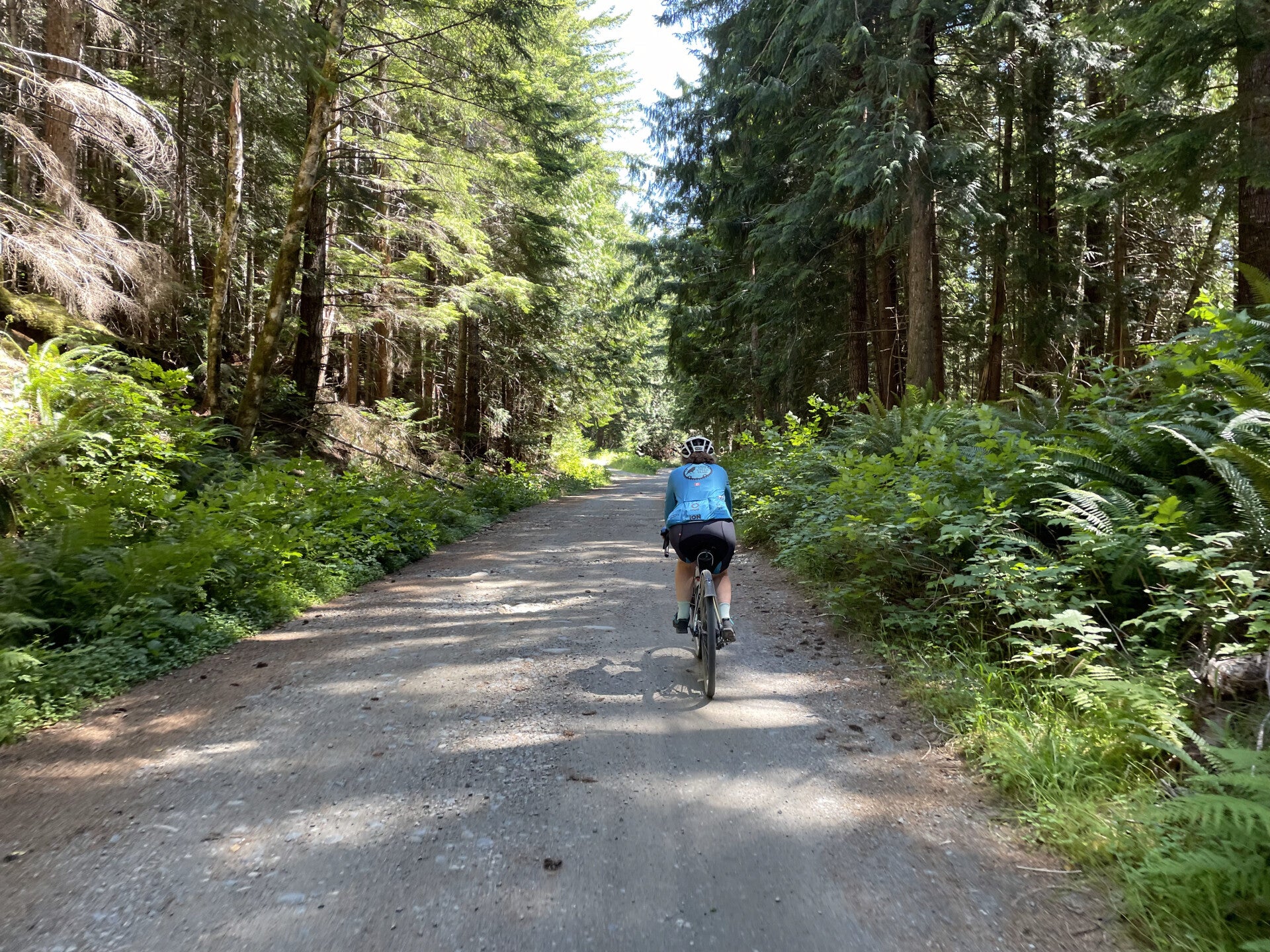 Farwell Canyon Junction Sheep Range