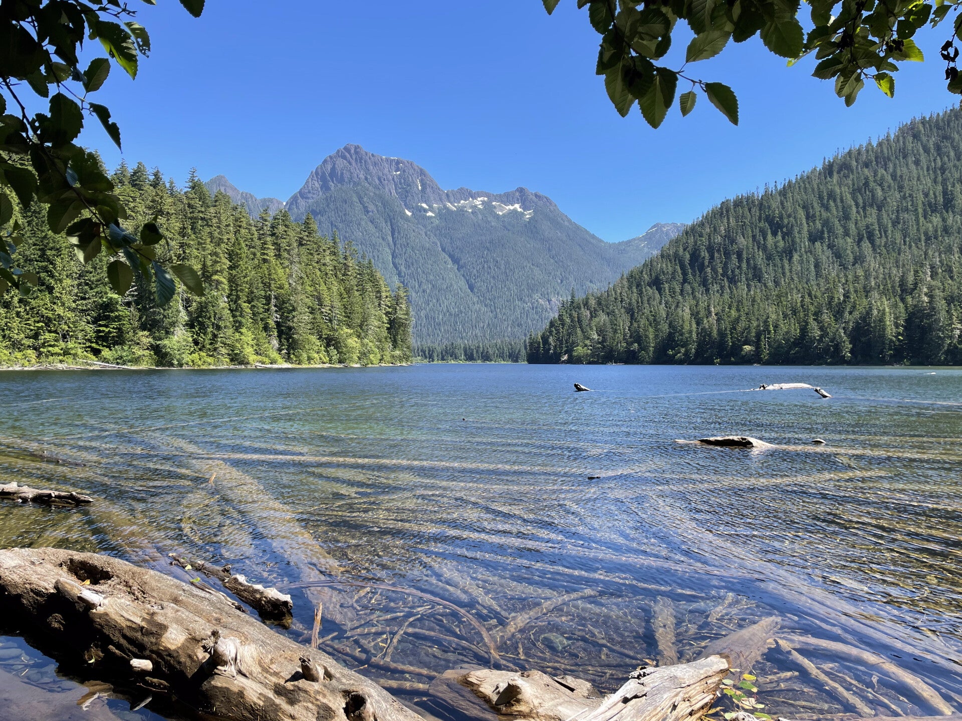 Farwell Canyon Junction Sheep Range
