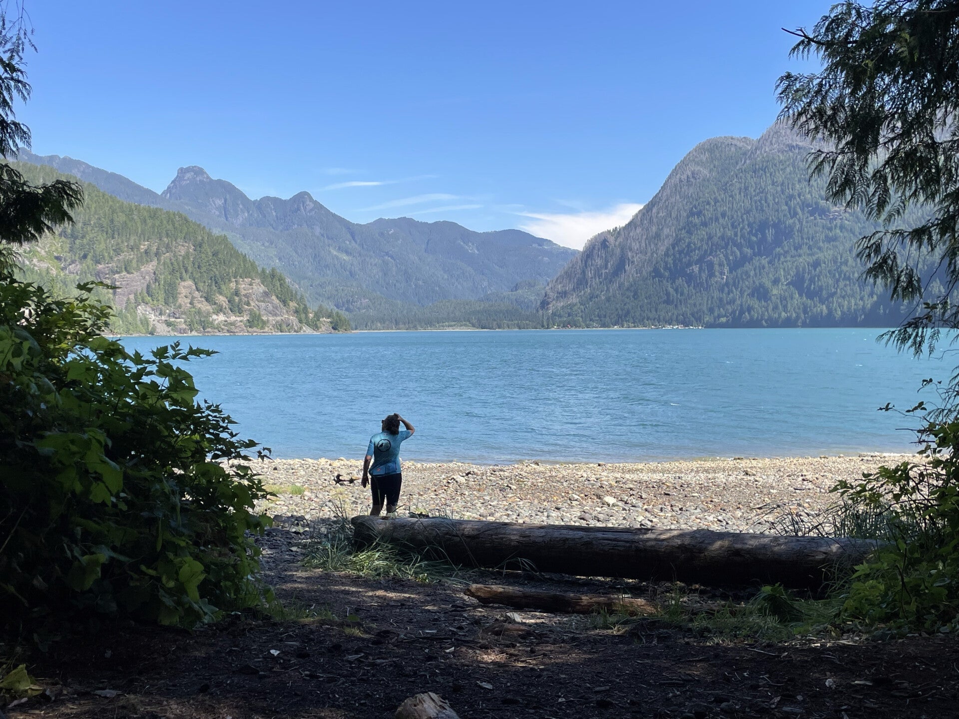 Farwell Canyon Junction Sheep Range