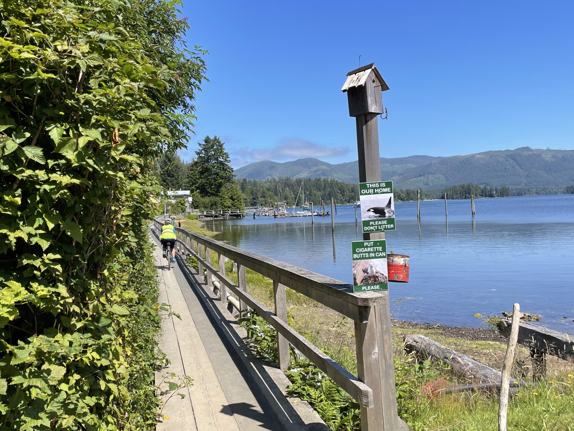 Farwell Canyon Junction Sheep Range