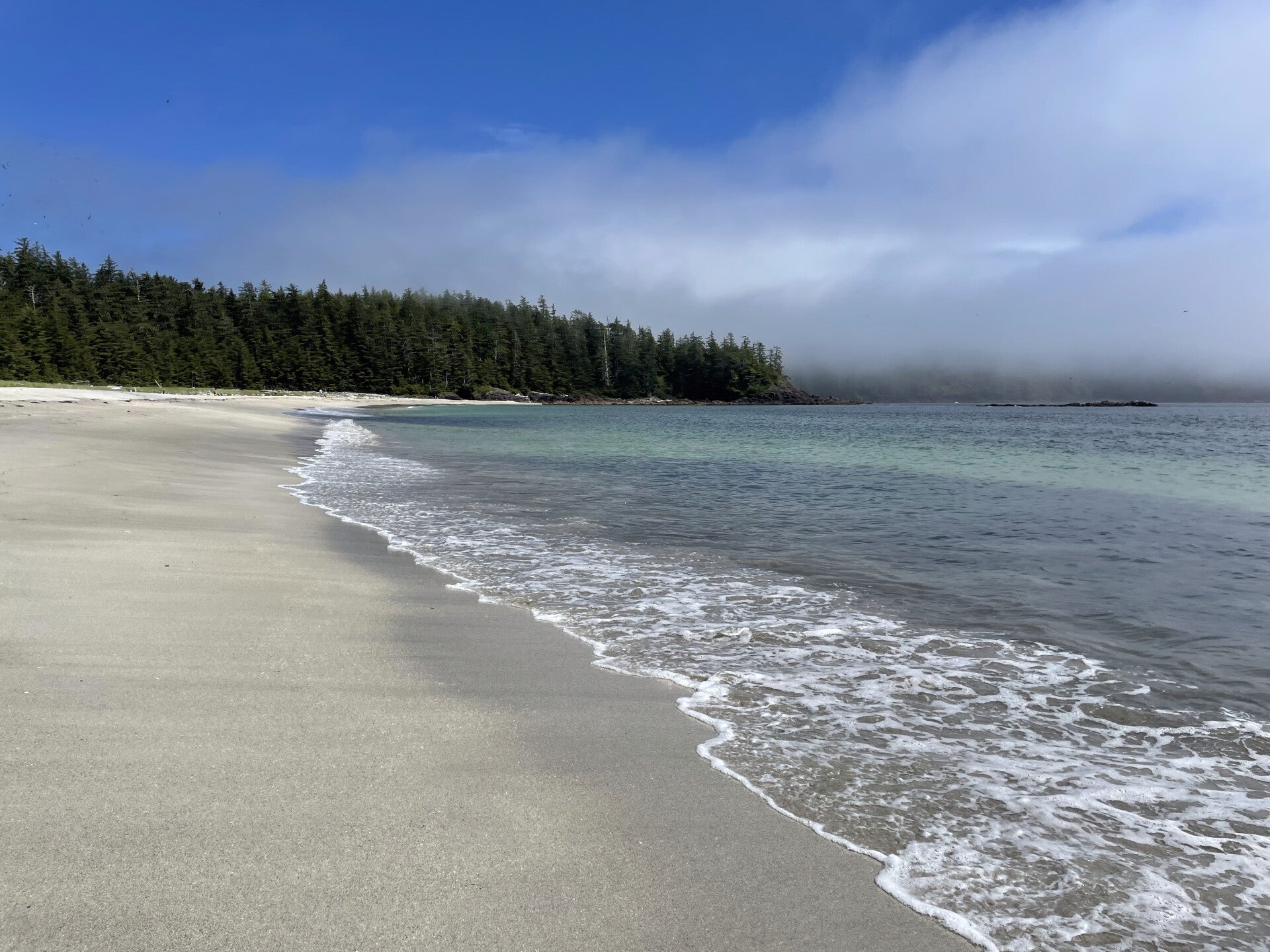 Farwell Canyon Junction Sheep Range