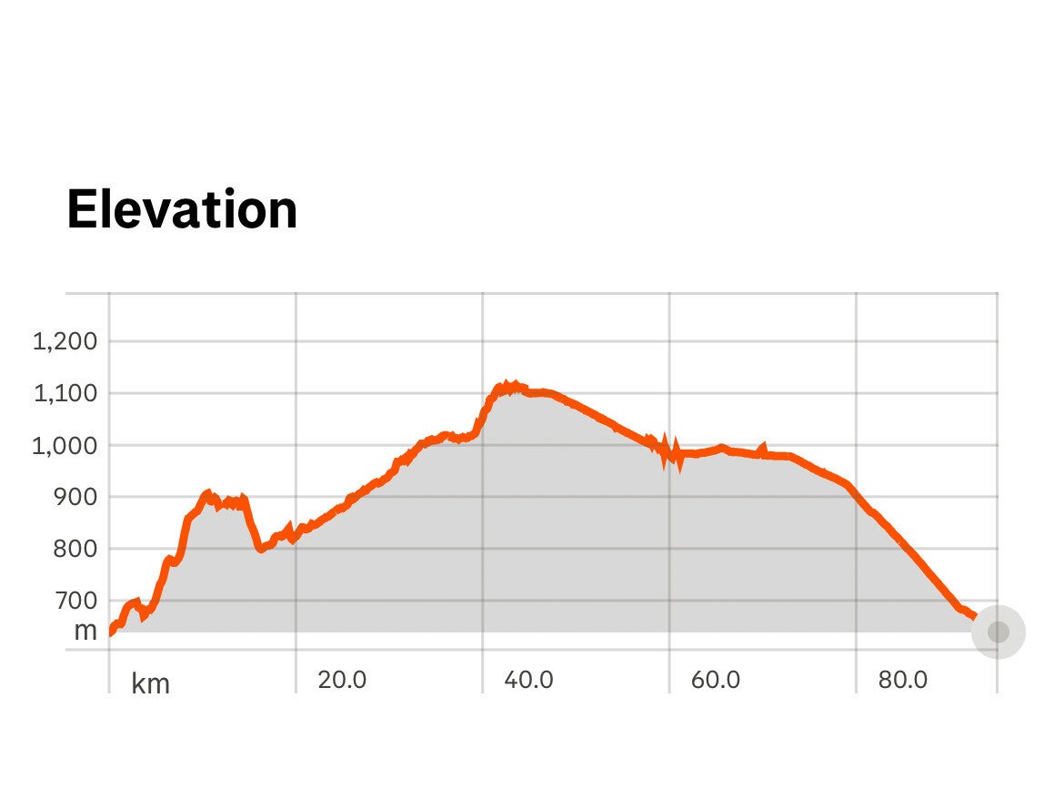 Princeton Bankeir Kettle Valley