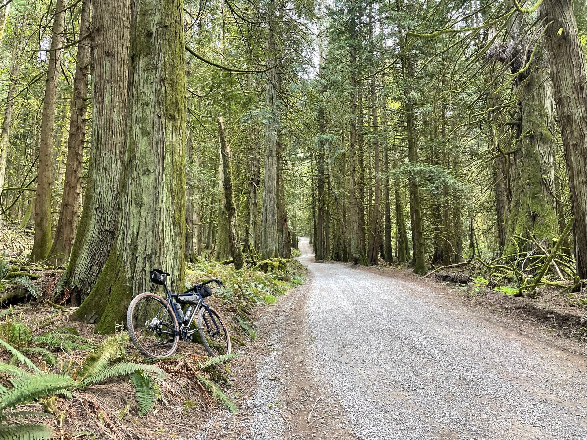 Bridge River Bralorne Hurley