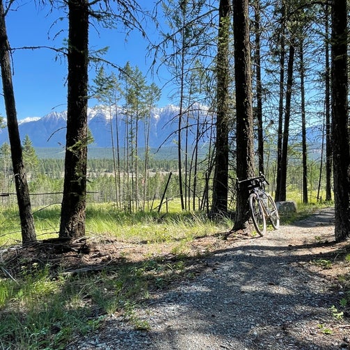 Lower Kootenay Chief Isadore Fort Steele