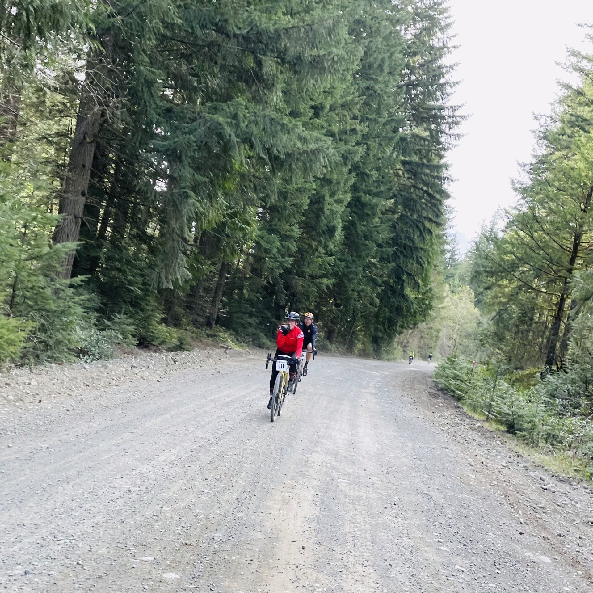 Canal Flats Columbia Lake