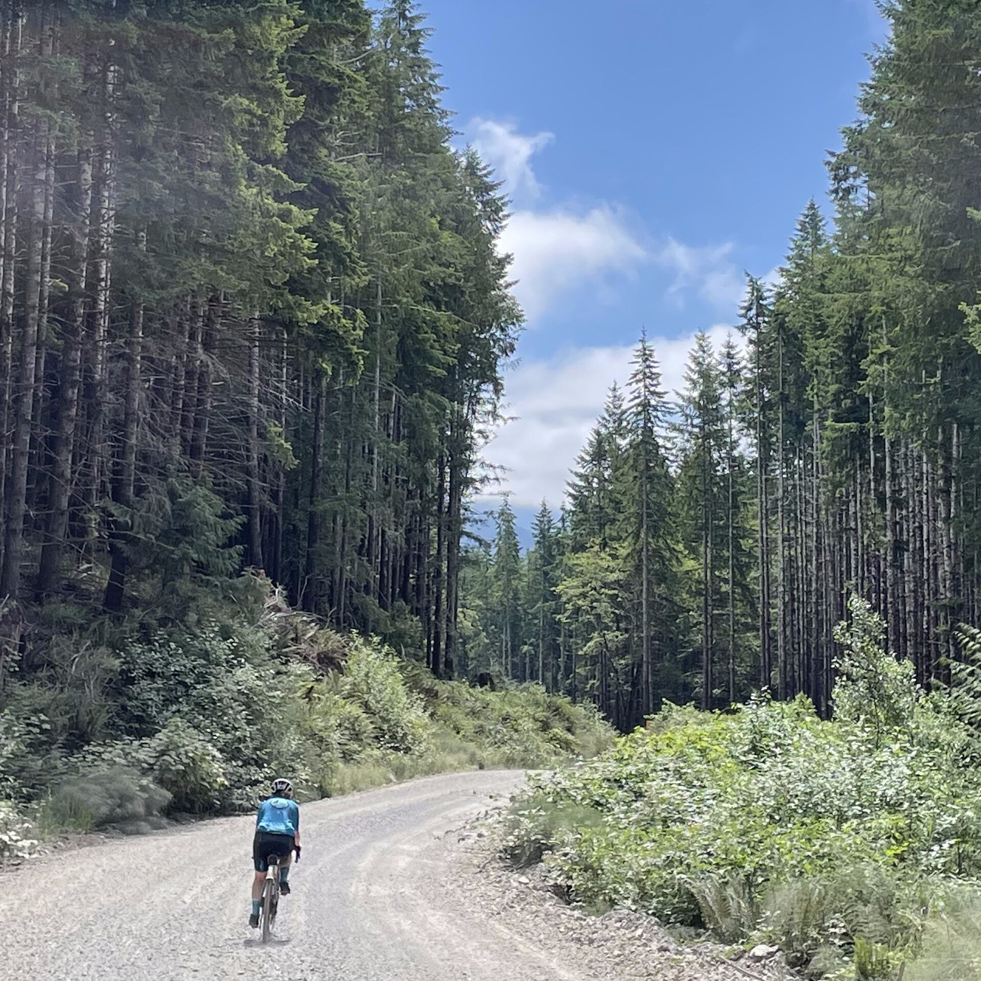 Maple Ridge gravel