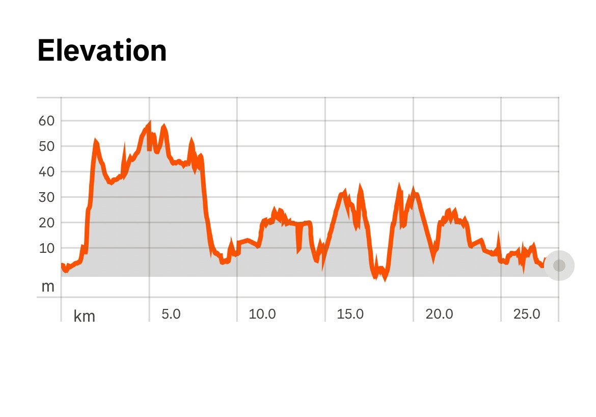 Farwell Canyon Junction Sheep Range