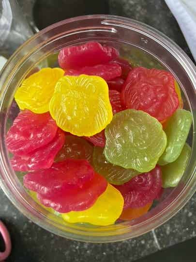 leeuwenkopjes