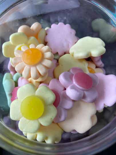 bloemen FRISIA