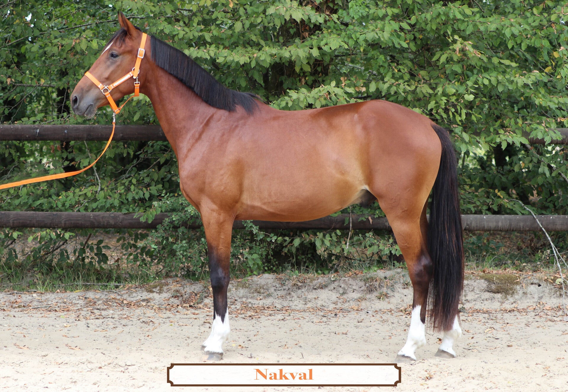 NAKVAL