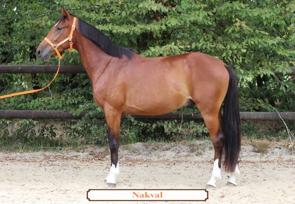 NAKVAL