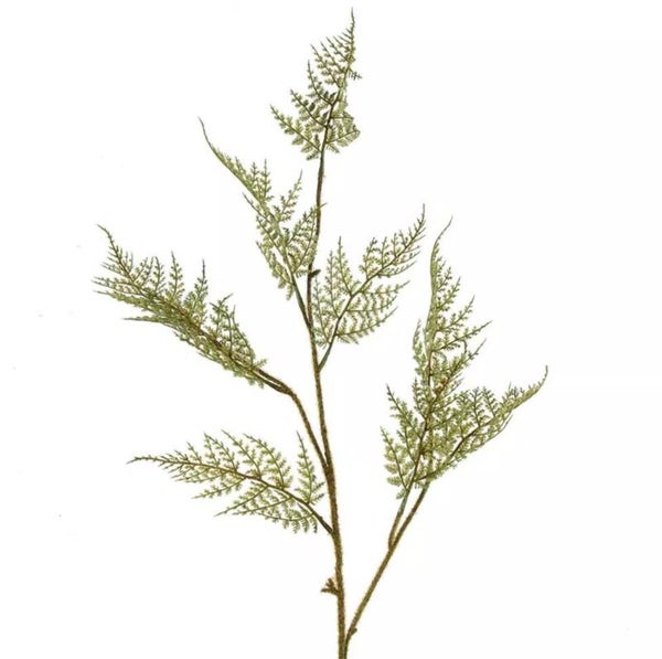 Kunsttak asparagus groen