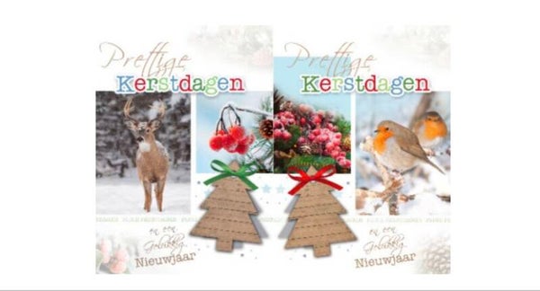 10 kerst/nieuwjaars kaarten met enveloppen