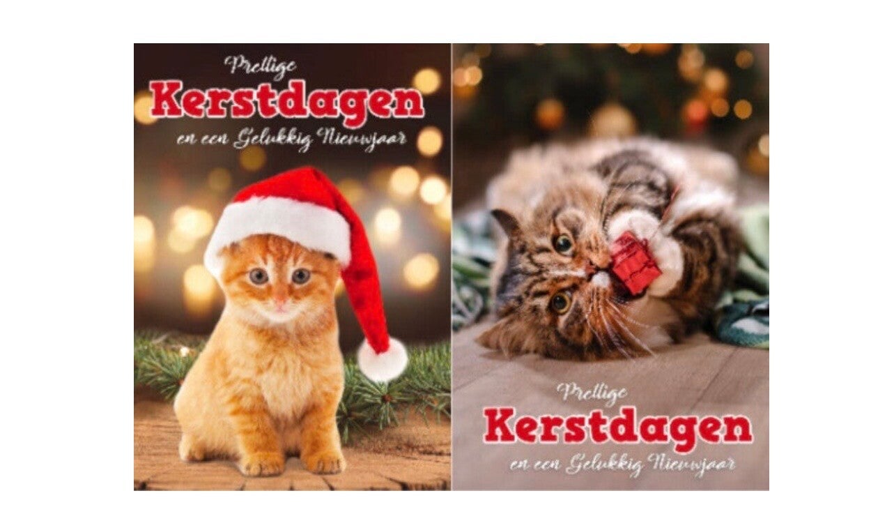 10 kerst/nieuwjaars kaarten met enveloppen
