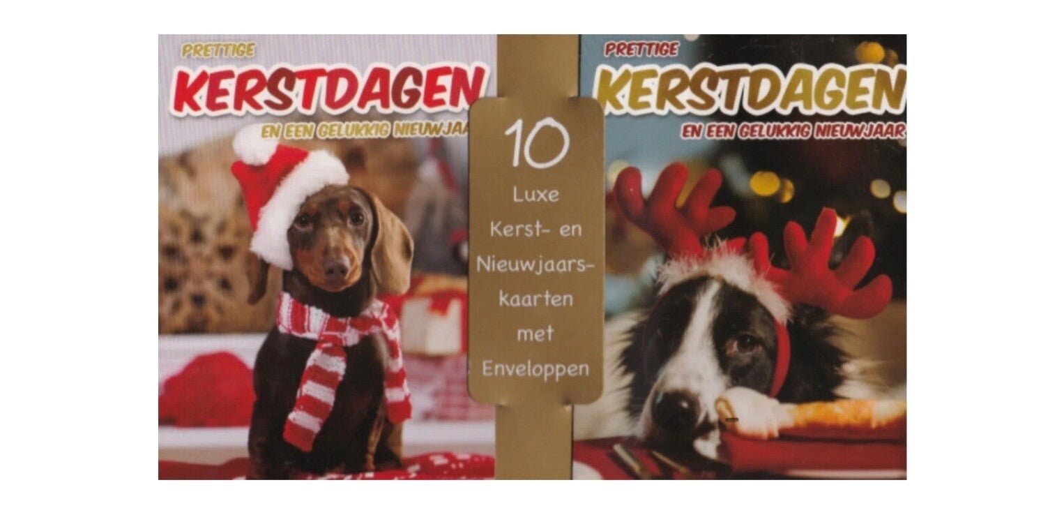 10 kerst/nieuwjaars kaarten met enveloppen