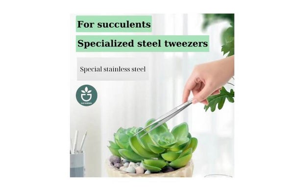 Roestvrijstalen vetplanten pincet - succulent tweezer