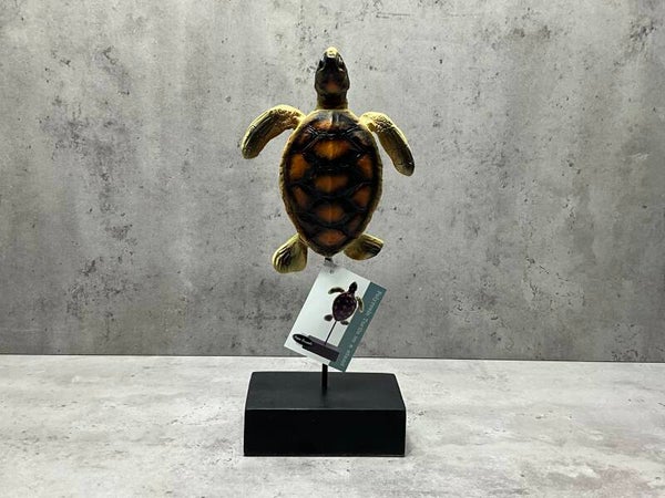 Schildpad op standaard