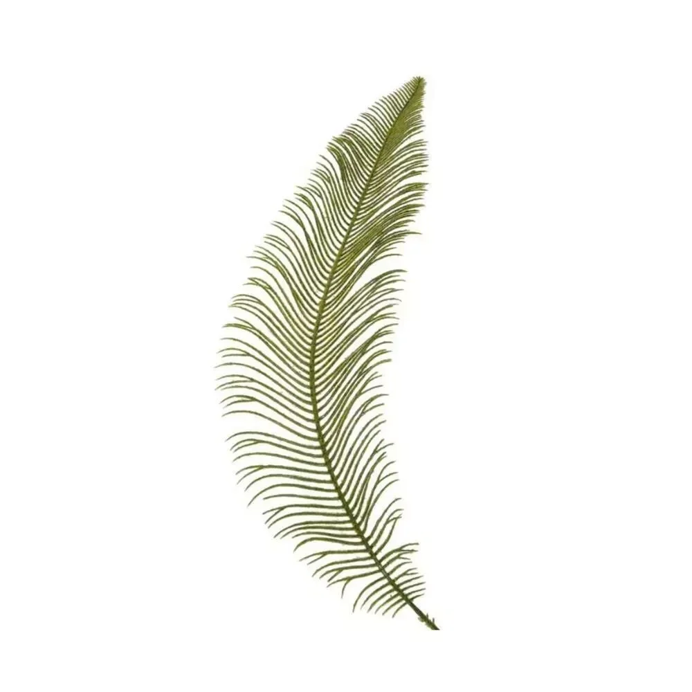 Kunsttak Cycas Pectinata groen