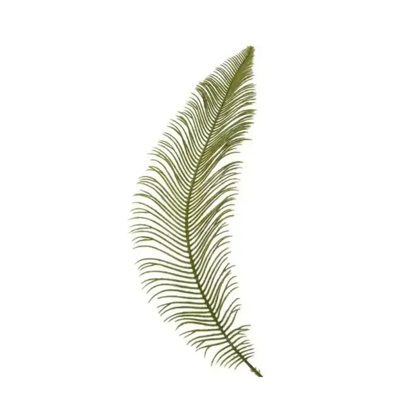 Kunsttak Cycas Pectinata groen