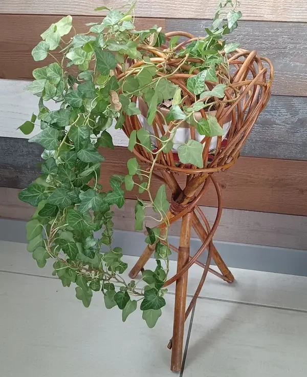 Magnifique porte plante en rotin