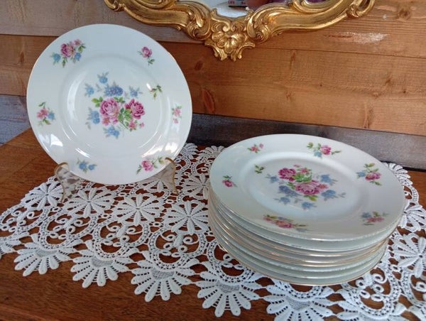 Très belles assiettes plates