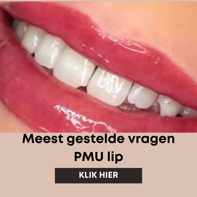 meest gestelde vragen pmu lipblush