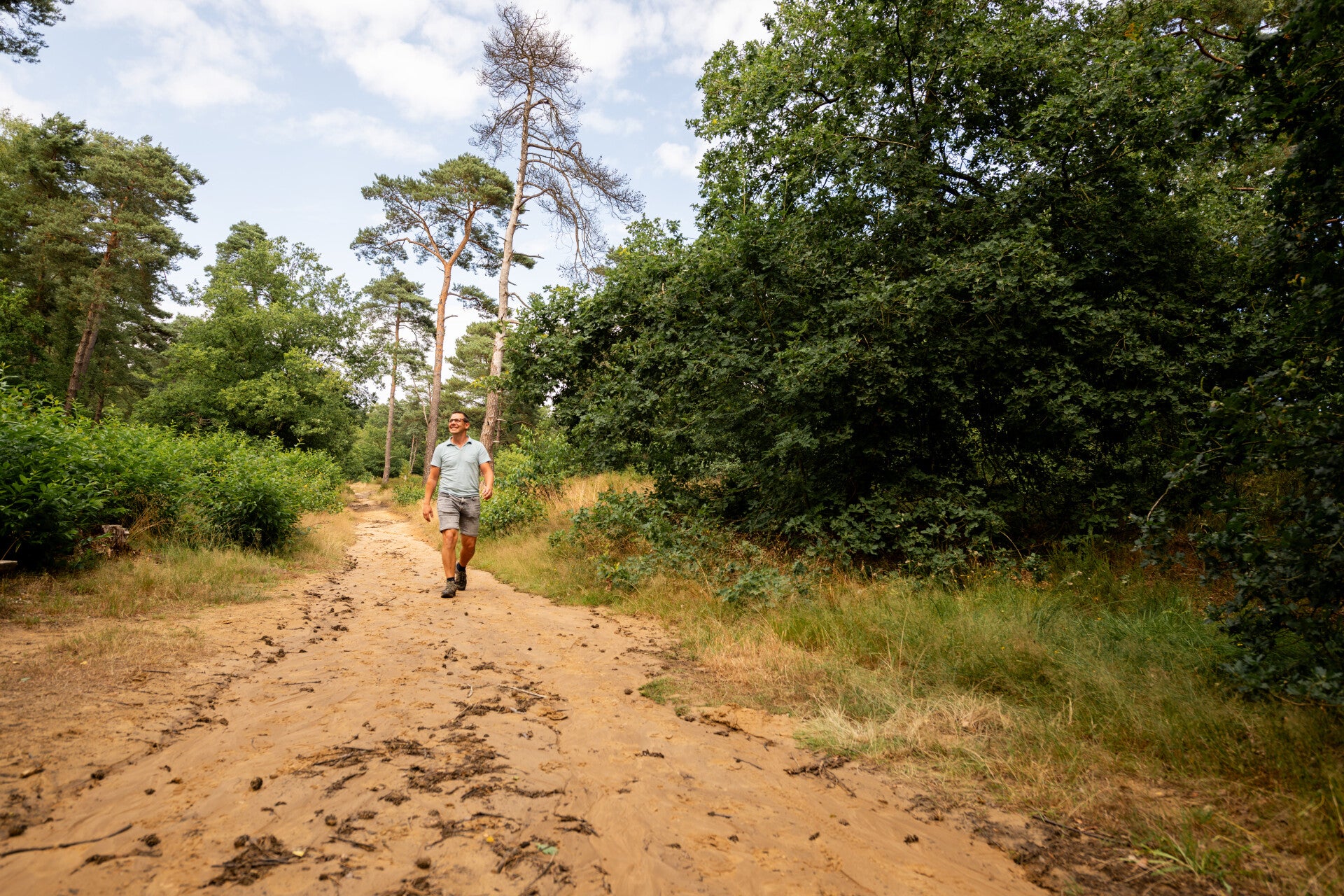 Wandelvakanties Limburg