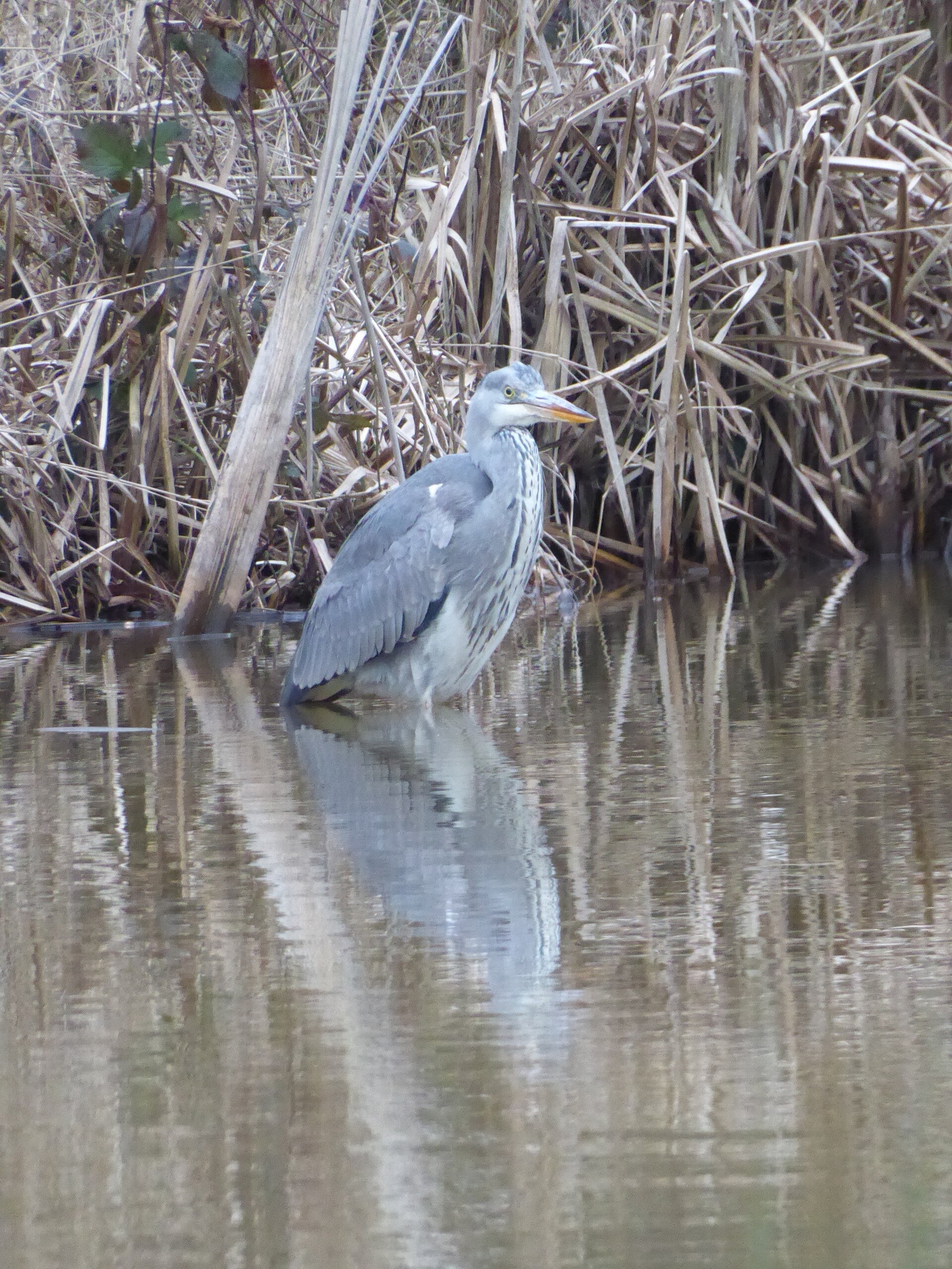 Wandelen op maat