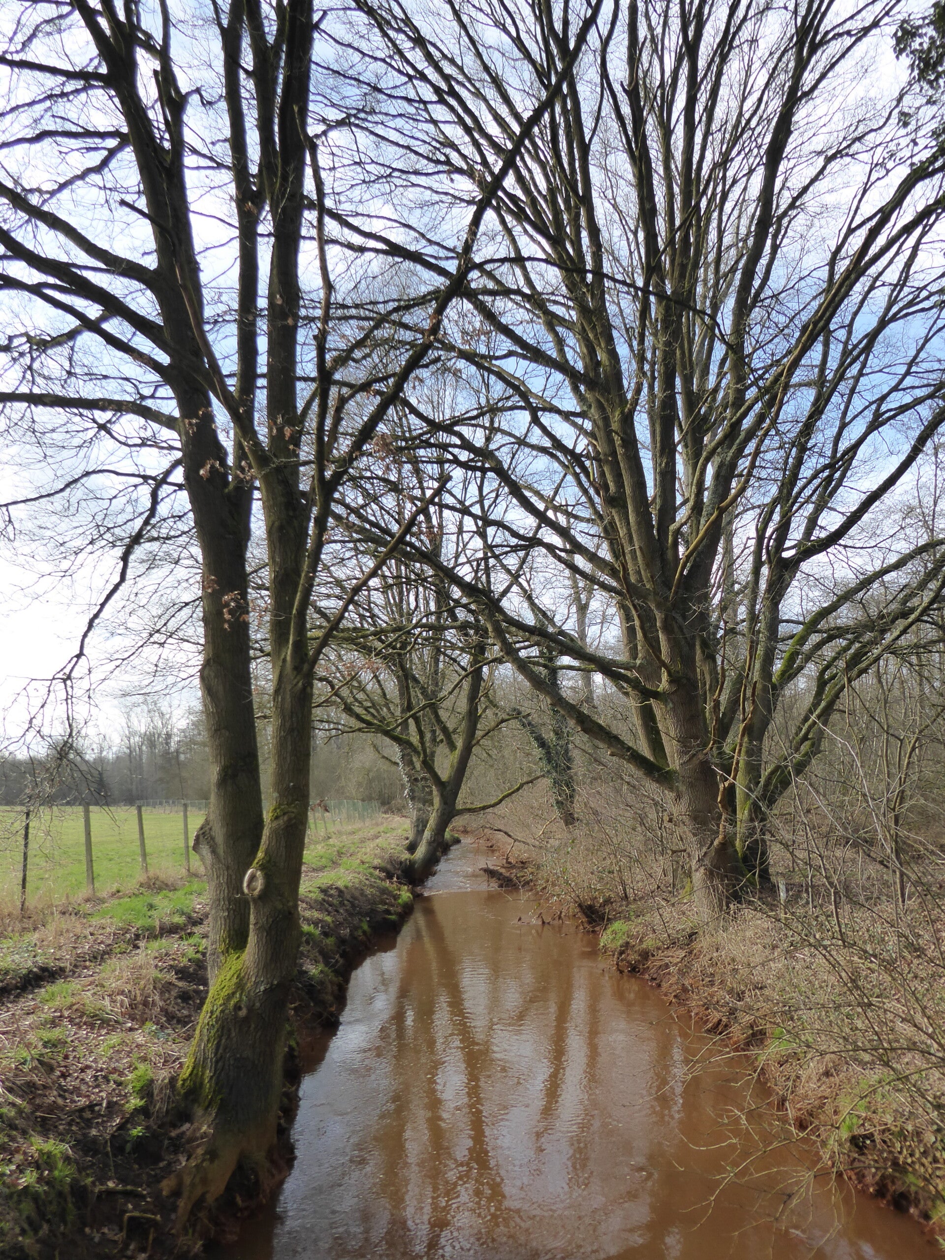 Tessenderlo-Ham Trail