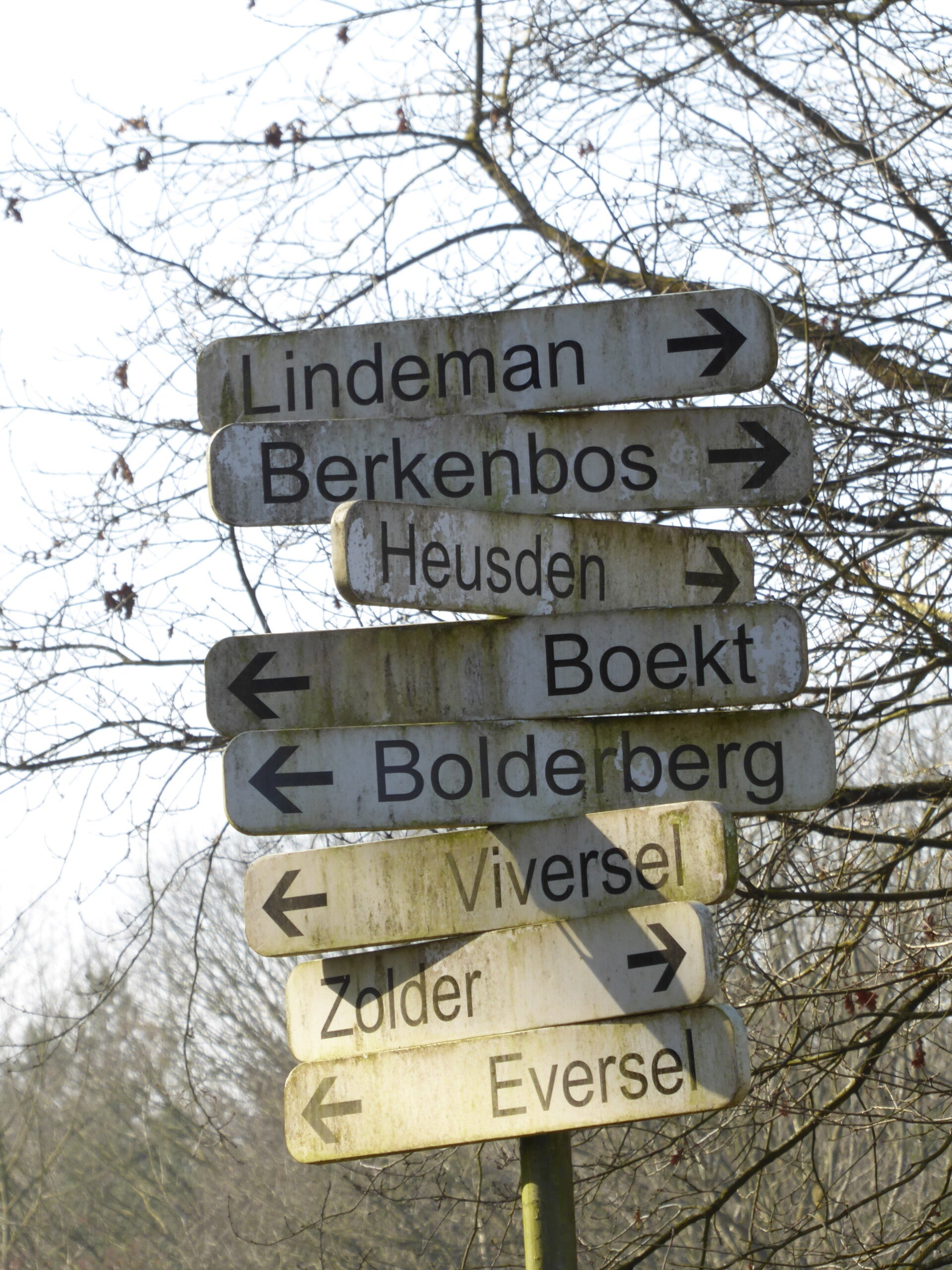 Ontdek De Wijers: Wandelen door het land van 1001 vijvers