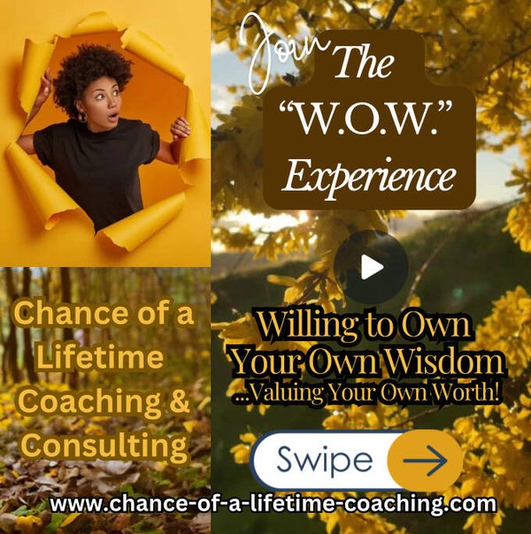 The W.O.W Experience