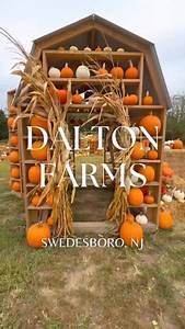 dalton-farms-standard.jpg