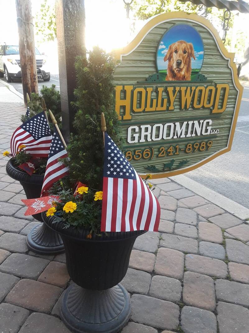 hollywood-grooming-standard.jpg