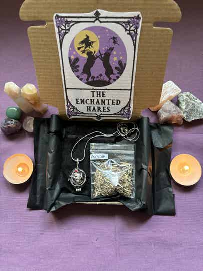 Vampire inspired mystical locket with vervain herb