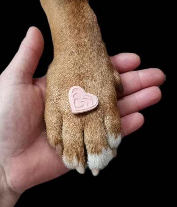 Startpaket für Welpen