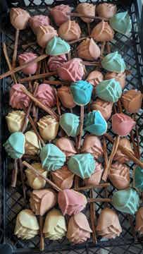 Rosen Lolli (DogLolly sweet roses)