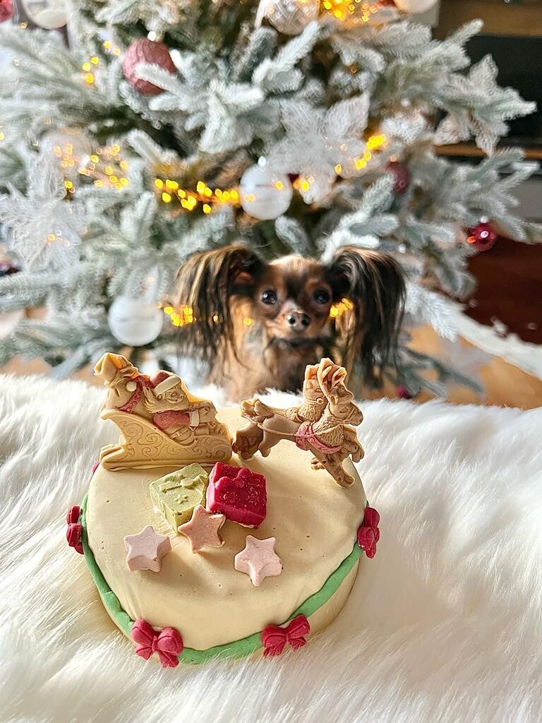 Weihnachts Torte