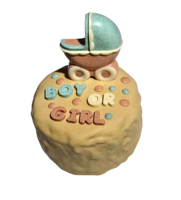 Gender Torte + Enthüllungs Ballon (Boy or Girl?)