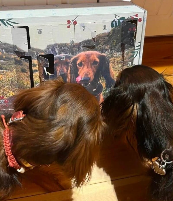 Adventskalender FotoBox