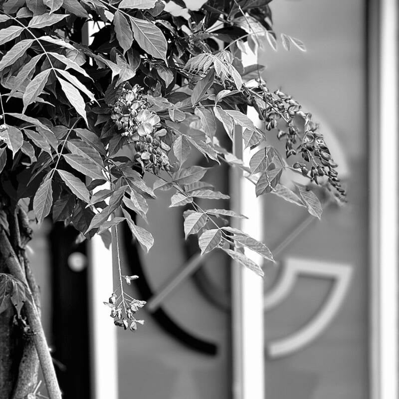 Rouw zou geen eindpunt hebben en toch zul je de realiteit moeten aanvaarden. Strijden met de realiteit wil je niet. Kun je een situatie niet veranderen, dan vereist dit aanvaarding. Acceptatie. Doe je dit niet, dan ben je in strijd met de realiteit. En di