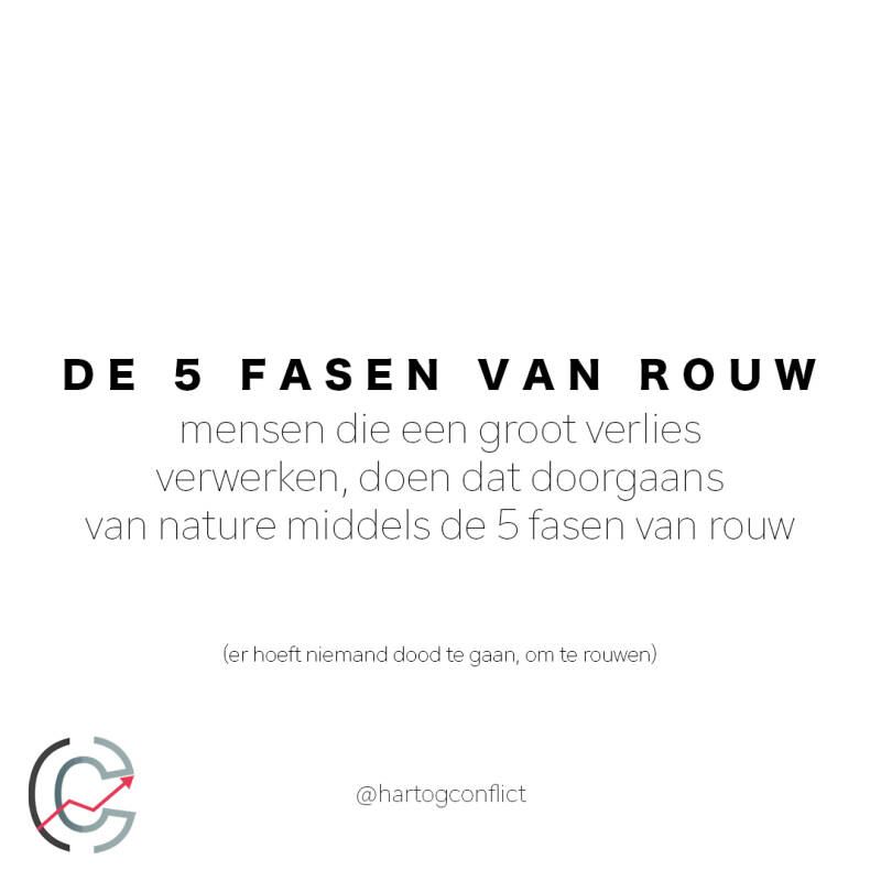 Het rouwproces: een intieme casus. Rouw, de onvermijdelijke prijs voor alles wat je liefhebt. Een bekend gegeven. Een bijkomend risico van het aangaan van verbinding, wetende dat het tijdelijk of permanent van je kan worden afgenomen: een moment, een leve