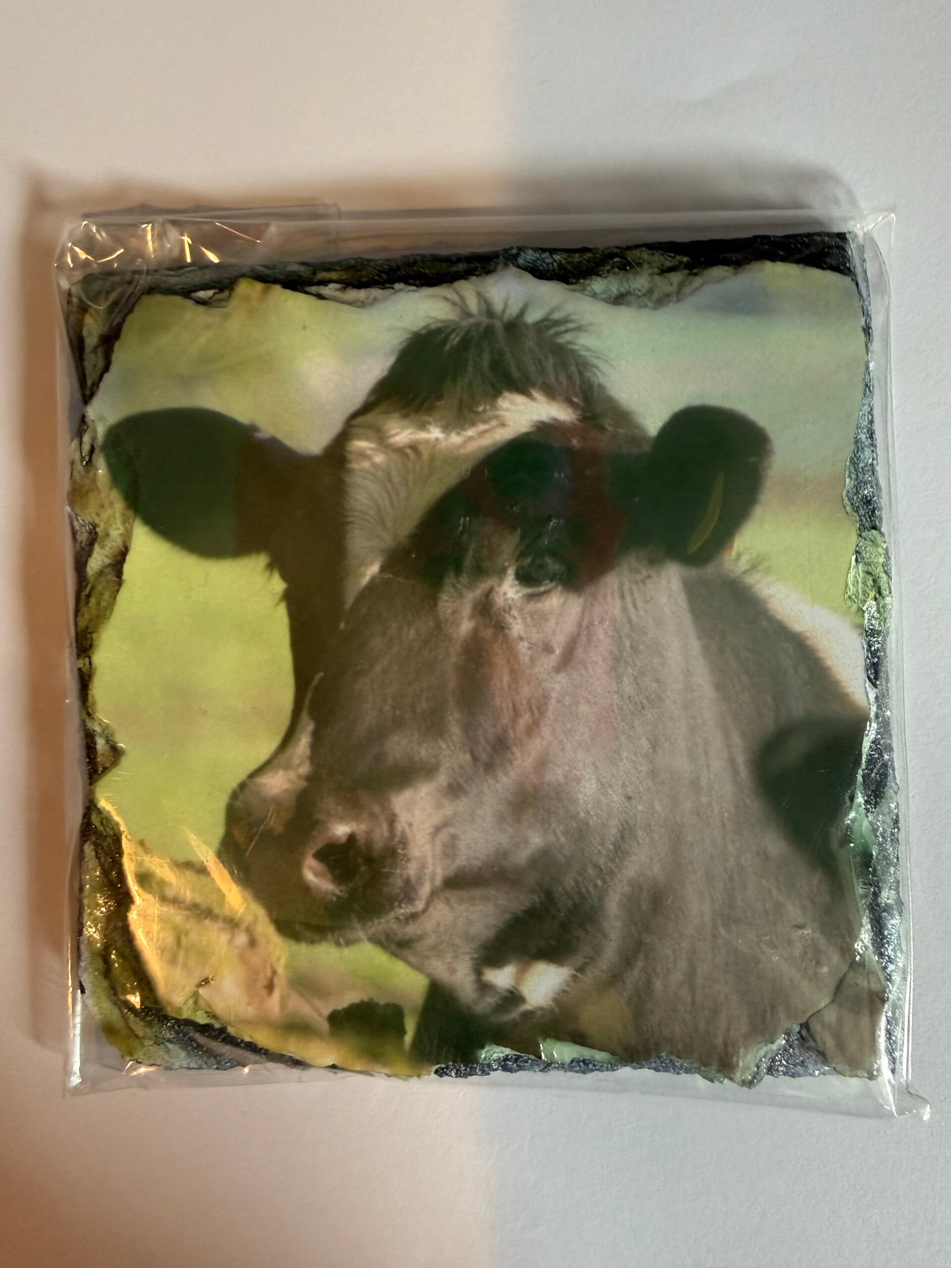 Wildlife/Farming Slate Coasters