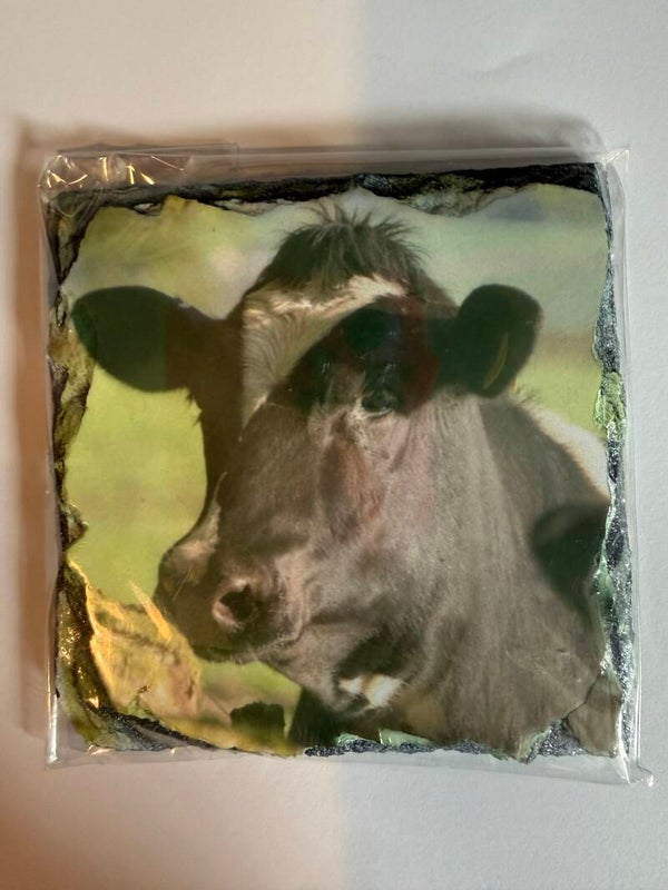 Wildlife/Farming Slate Coasters