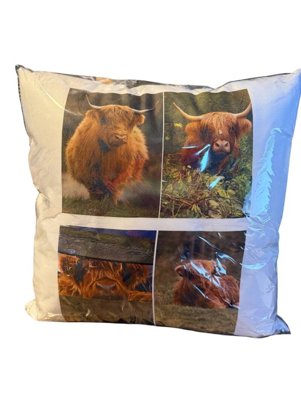 Photo Cushions