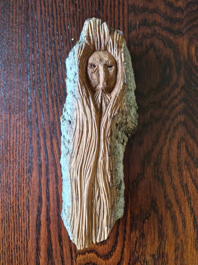 'Brad' $40