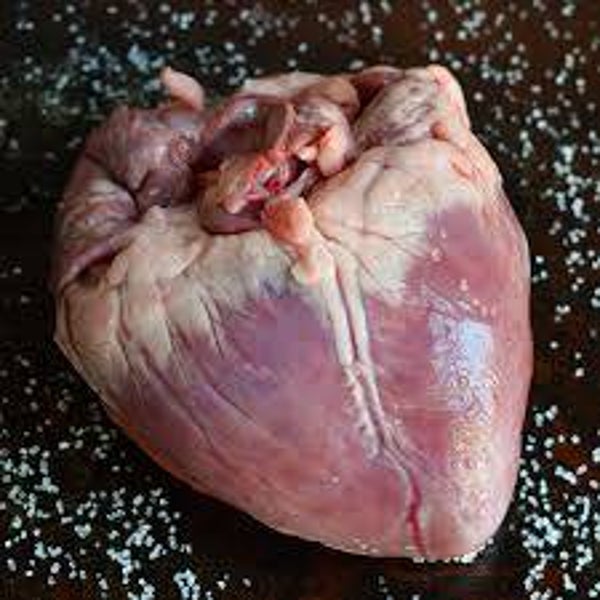 Coeur de porc - 1 pièce