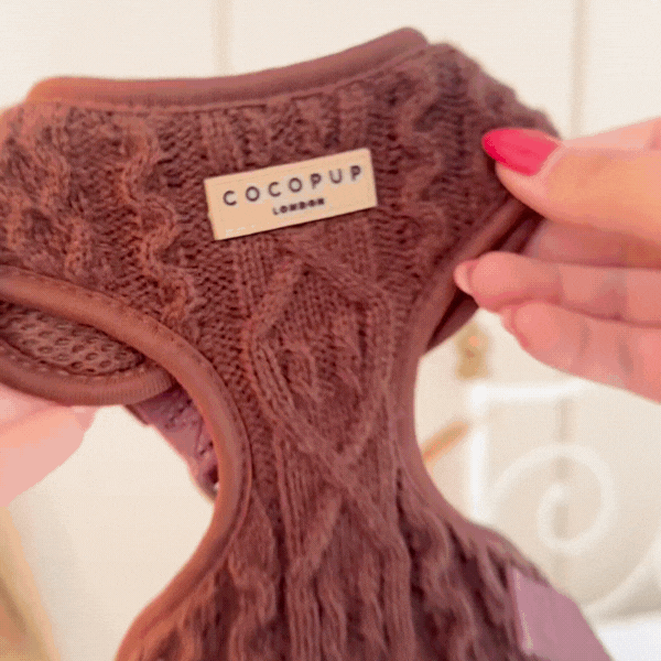 Harnais en tricot torsadé - Hot Coco