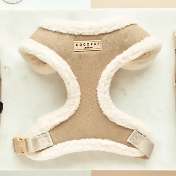 Harnais Nude Aviator